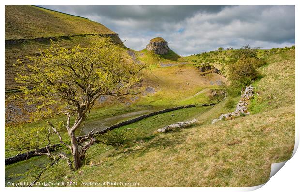Cressbrook Dale in evening light Print by Chris Drabble