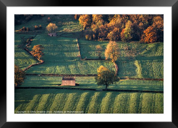 Fields at sunrise Framed Mounted Print by Chris Drabble