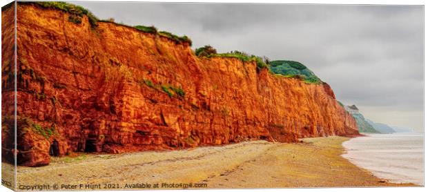 The Fragile Jurassic Coast Canvas Print by Peter F Hunt