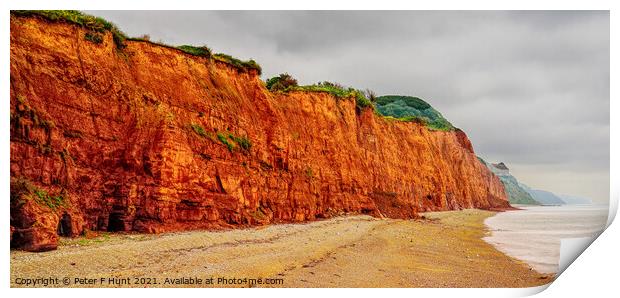 The Fragile Jurassic Coast Print by Peter F Hunt