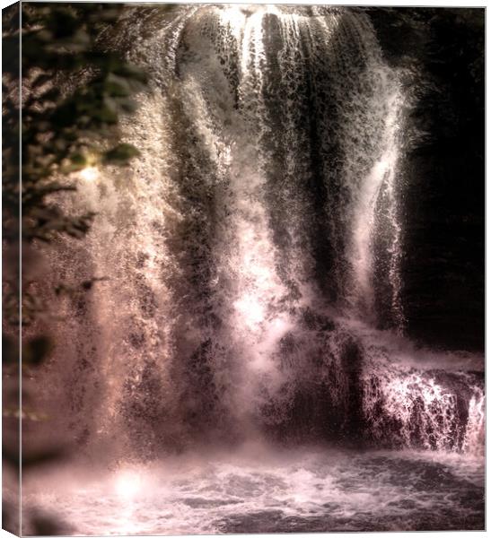 Tree and  sunlit waterfall  Canvas Print by Steve Taylor