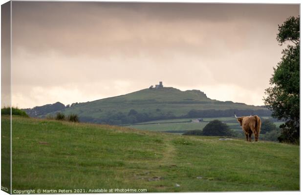 Serene Highland Cow at Brentor Church Canvas Print by Martin Yiannoullou