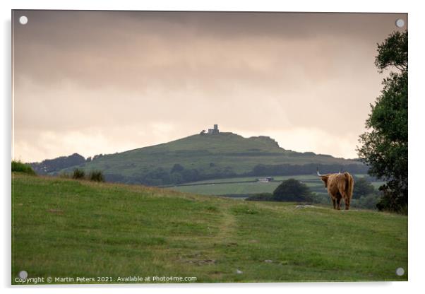 Serene Highland Cow at Brentor Church Acrylic by Martin Yiannoullou
