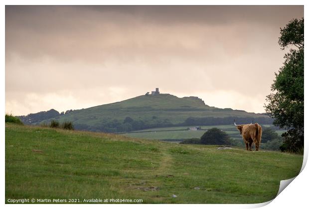 Serene Highland Cow at Brentor Church Print by Martin Yiannoullou