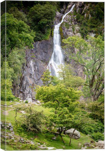 Arber Falls Canvas Print by Andy McGarry