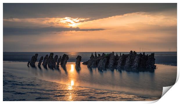 Dragons Teeth Hoylake Shipwreck Print by Liam Neon