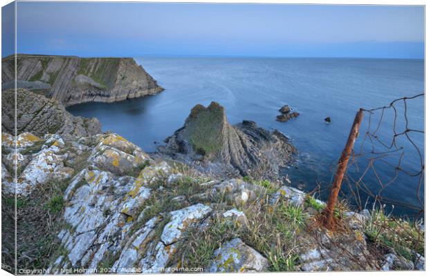 The Knave, Gower Peninsula Canvas Print by Neil Holman