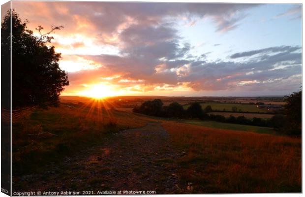 Sunset on the Somerset Levels Canvas Print by Antony Robinson