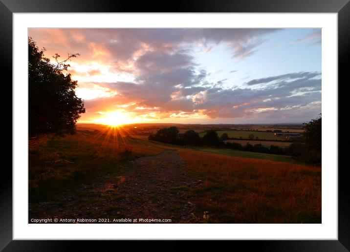 Sunset on the Somerset Levels Framed Mounted Print by Antony Robinson