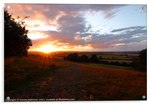 Sunset on the Somerset Levels Acrylic by Antony Robinson