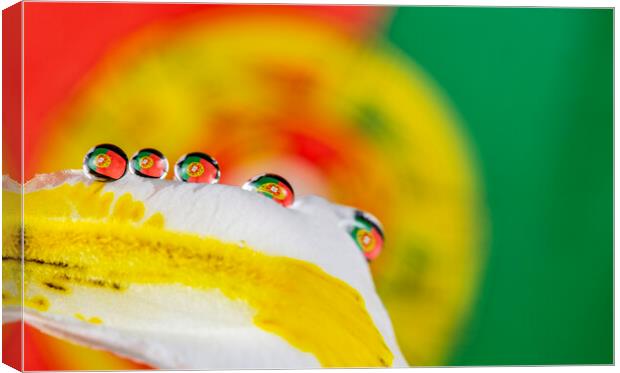 The Portuguse Flag in One (several) Water Drop Canvas Print by Antonio Ribeiro