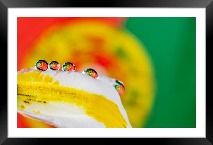 The Portuguse Flag in One (several) Water Drop Framed Mounted Print by Antonio Ribeiro