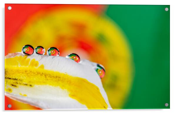 The Portuguse Flag in One (several) Water Drop Acrylic by Antonio Ribeiro