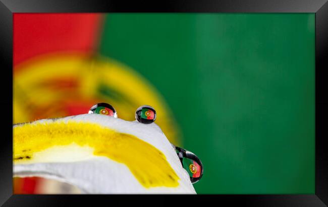 The Portuguse Flag in One (several) Water Drop Framed Print by Antonio Ribeiro