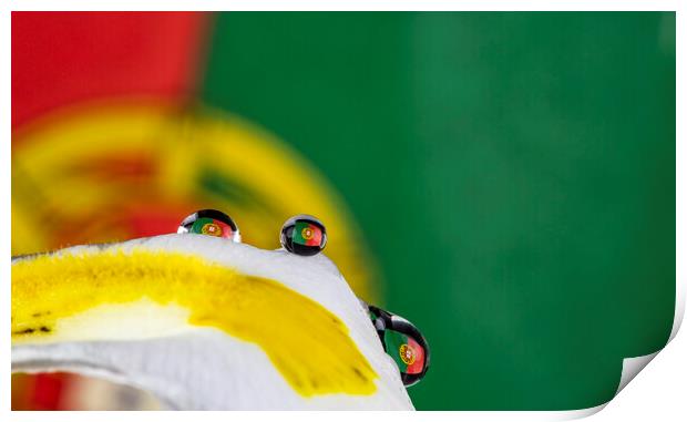 The Portuguse Flag in One (several) Water Drop Print by Antonio Ribeiro