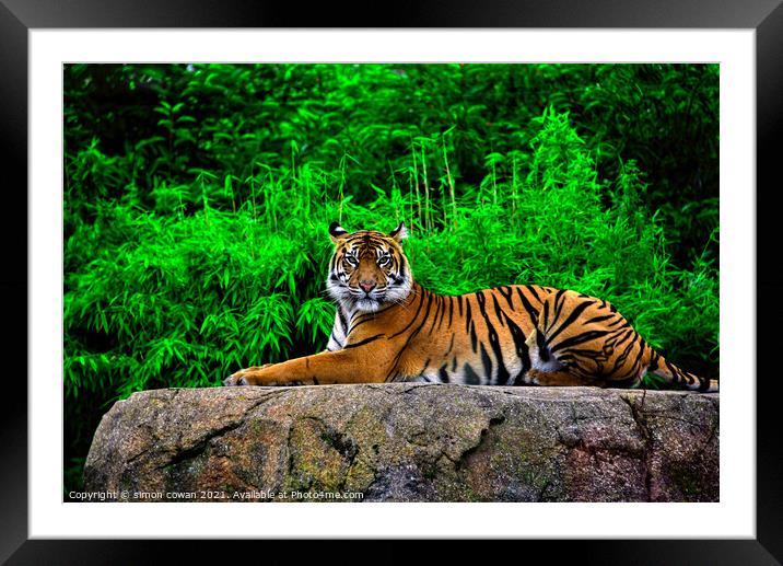 I Just Love to Pose for the Camera Framed Mounted Print by simon cowan