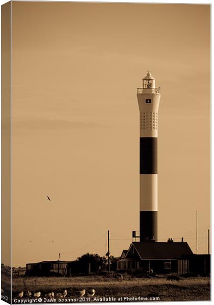 The New Lighthouse, Dungeness Kent Canvas Print by Dawn O'Connor