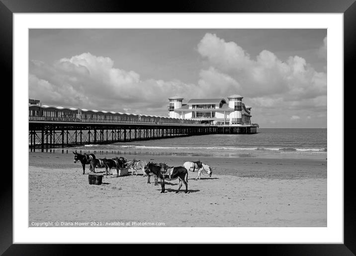 Weston-super-Mare Donkeys Framed Mounted Print by Diana Mower