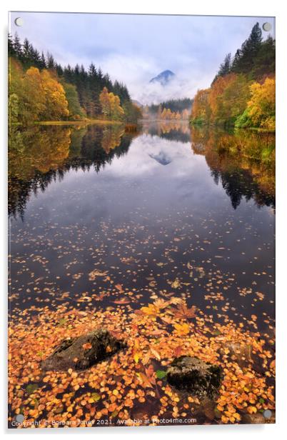 Serenity at Glencoe Lochan Acrylic by Barbara Jones