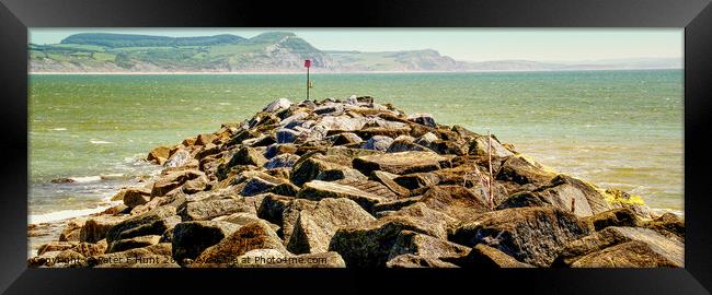 End Of The Cobb Framed Print by Peter F Hunt