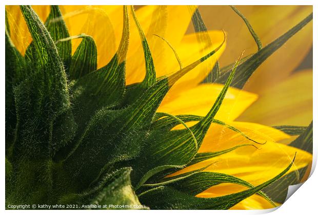 Abstract Sunflowers Print by kathy white