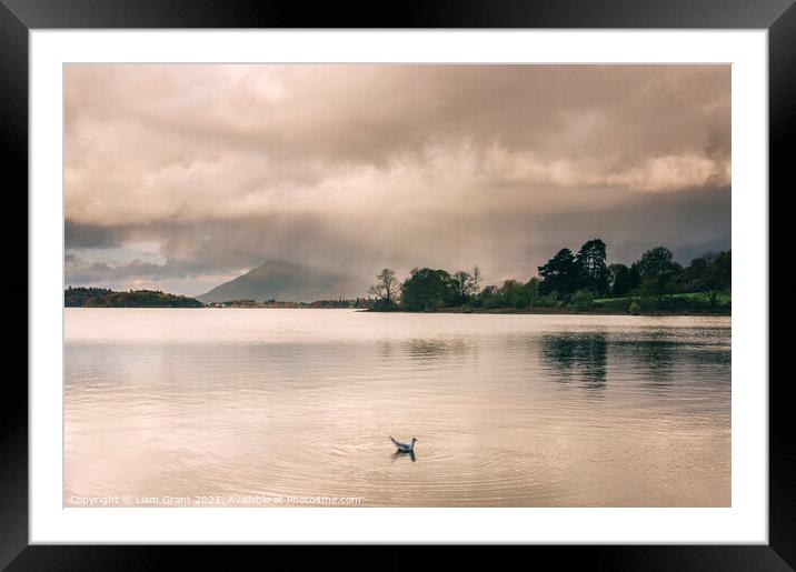 Evening rainclouds and distant rain over Skiddaw and Derwent Wat Framed Mounted Print by Liam Grant