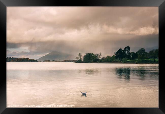 Evening rainclouds and distant rain over Skiddaw and Derwent Wat Framed Print by Liam Grant