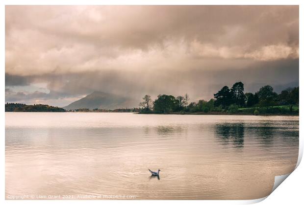 Evening rainclouds and distant rain over Skiddaw and Derwent Wat Print by Liam Grant