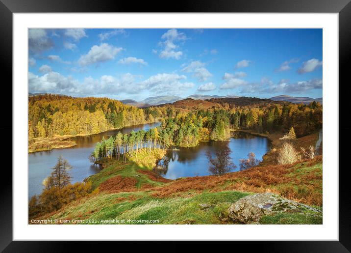 Sunlight over Tarn Hows with Helvellyn beyond. Framed Mounted Print by Liam Grant