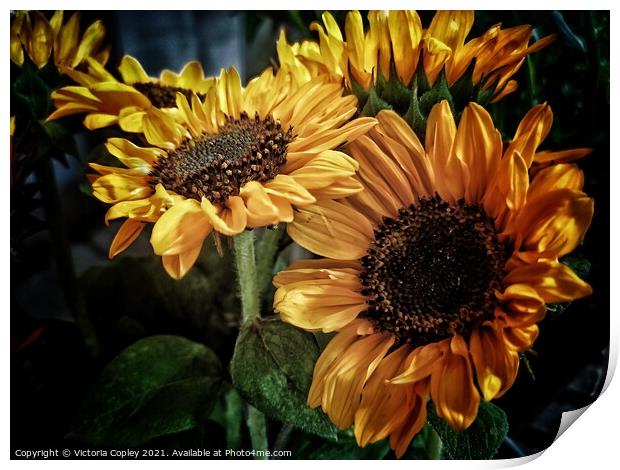 Sunflowers Print by Victoria Copley