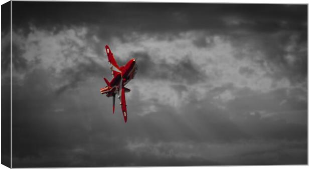 Single Red Canvas Print by Gareth Burge Photography