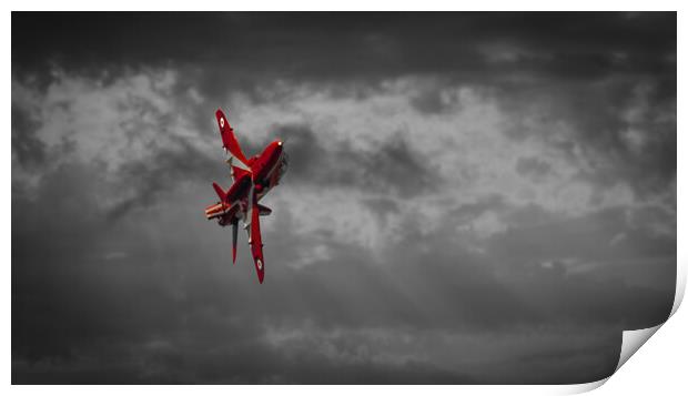 Single Red Print by Gareth Burge Photography