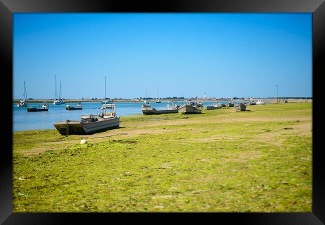 Boats for oysterculture Framed Print by youri Mahieu