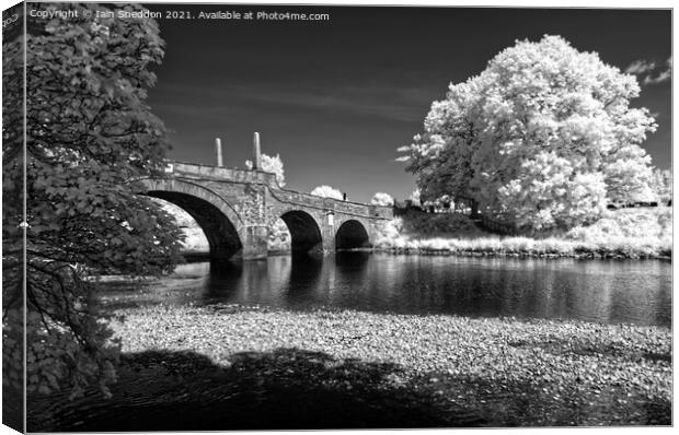 Wade's Bridge, Aberfeldy Canvas Print by Iain Sneddon