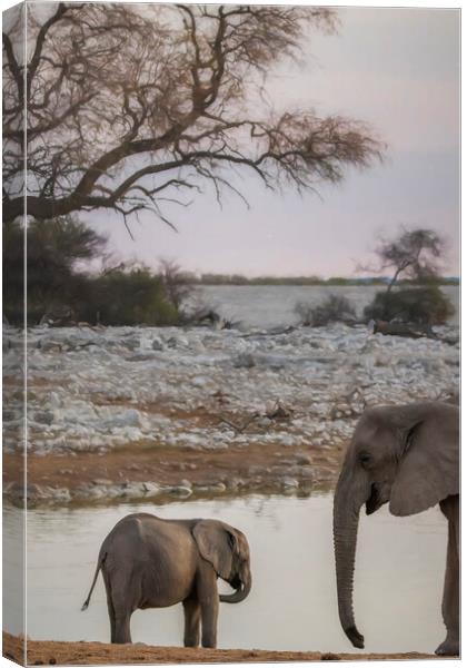 Sharing a Moment at the Waterhole Canvas Print by Belinda Greb