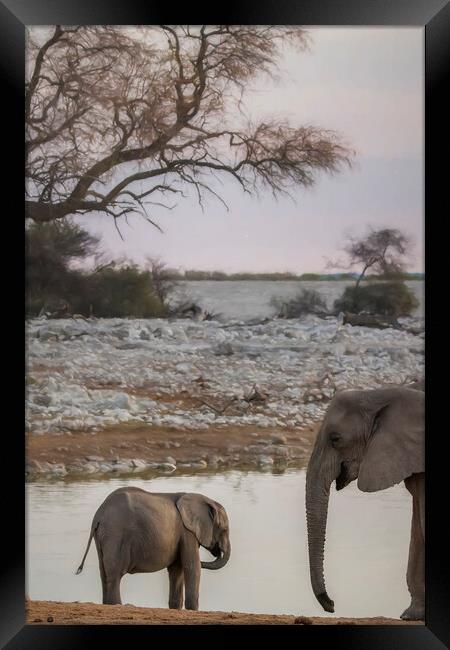 Sharing a Moment at the Waterhole Framed Print by Belinda Greb