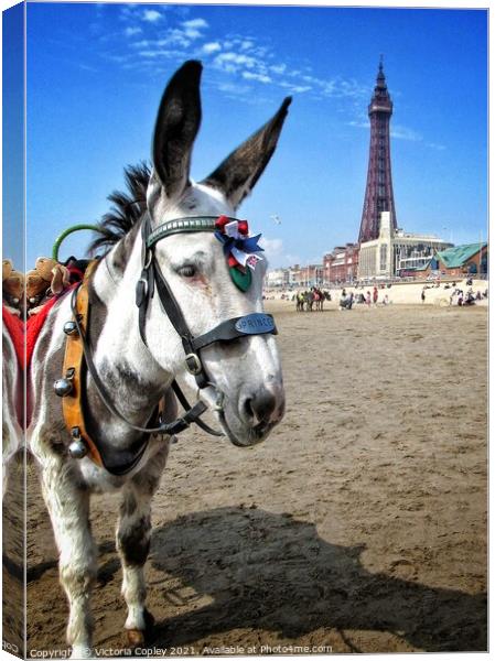 Blackpool donkey Canvas Print by Victoria Copley