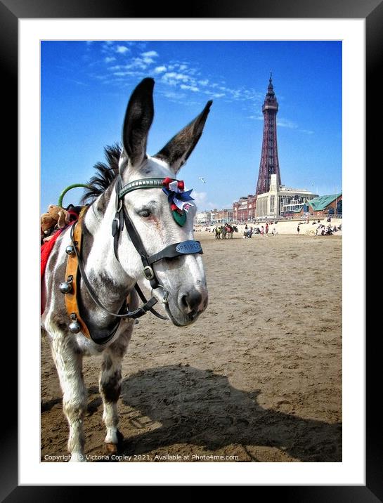 Blackpool donkey Framed Mounted Print by Victoria Copley
