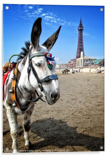 Blackpool donkey Acrylic by Victoria Copley