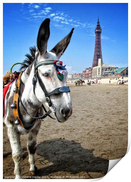 Blackpool donkey Print by Victoria Copley