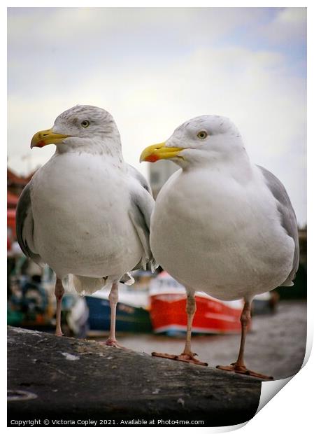 Seagull pair Print by Victoria Copley