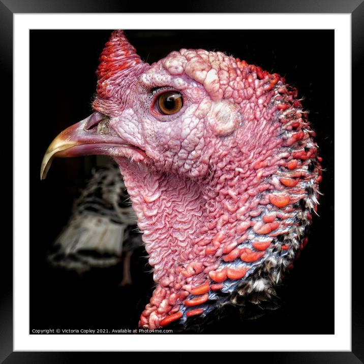 Turkey Framed Mounted Print by Victoria Copley