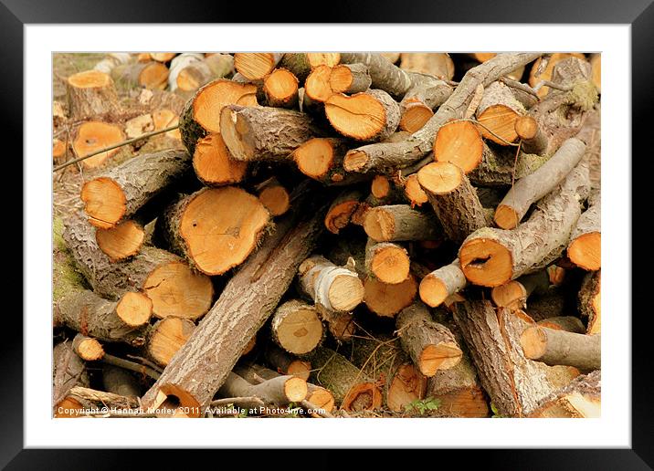 Pile of Chopped Logs Framed Mounted Print by Hannah Morley