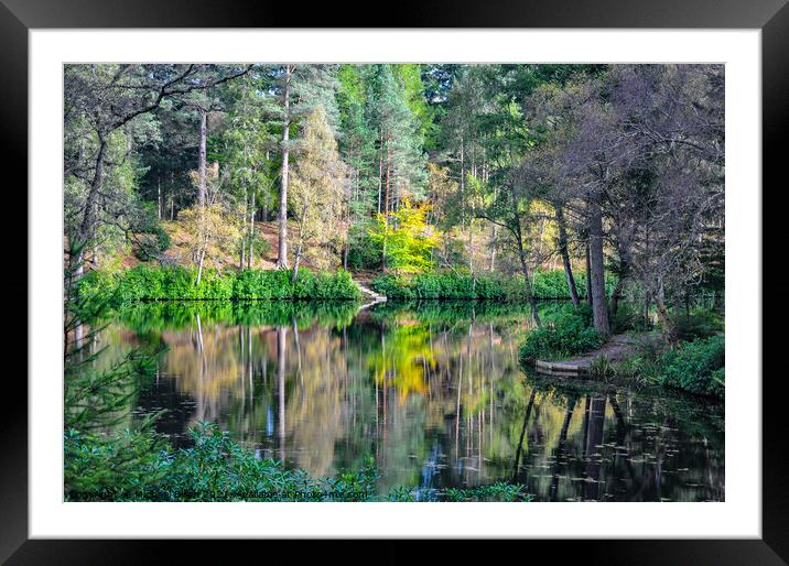 Enchanting Autumn Reflections Loch Dunmore Framed Mounted Print by Michael Birch