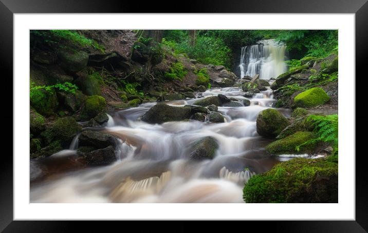 Tigers Clough Bolton Framed Mounted Print by Phil Durkin DPAGB BPE4