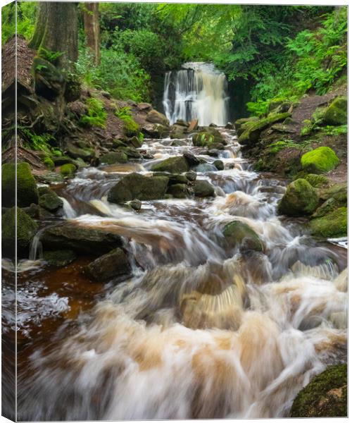 Tigers Clough Bolton Canvas Print by Phil Durkin DPAGB BPE4