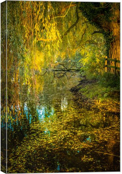 Weeping willow in autumn. Canvas Print by Bill Allsopp