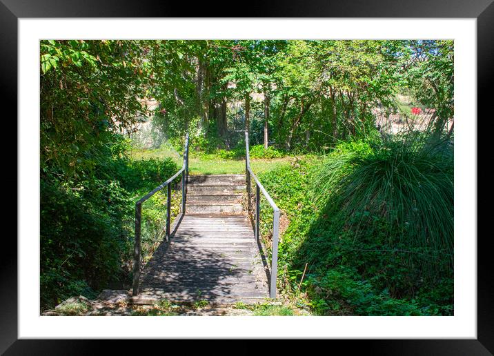 wooden footbridge over a stream in the forest Framed Mounted Print by David Galindo