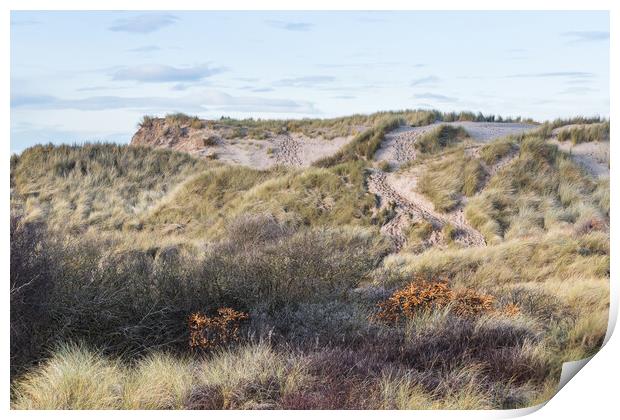 Foot prints seen up the steep sides of sand dunes Print by Jason Wells