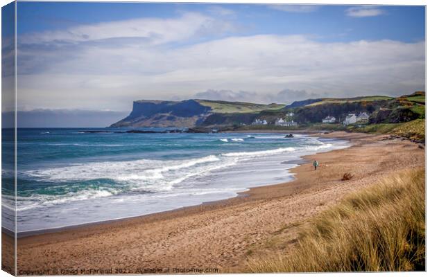 Unleash the Wild Beauty at Ballycastle Canvas Print by David McFarland